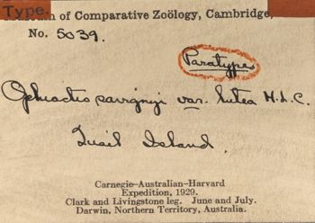 Media type: image;   Invertebrate Zoology OPH-5039 Aspect: labels
